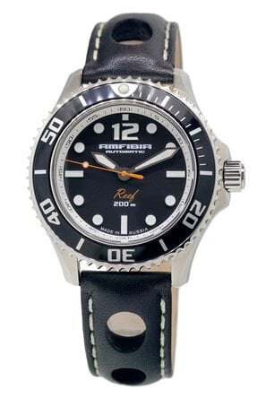 Amphibia 2415.01/080495