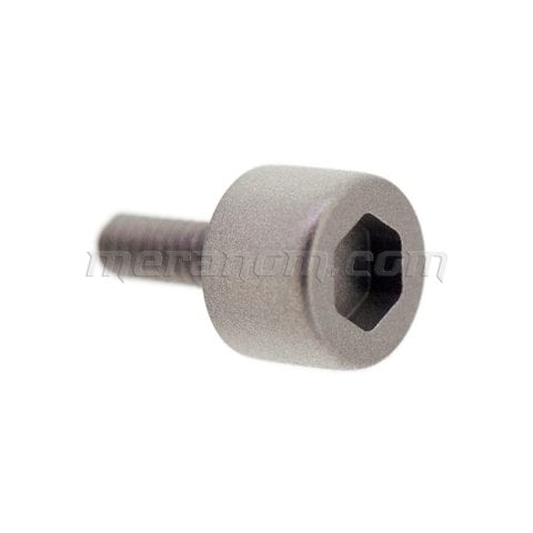 Buyalov RR strap screw