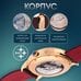 Часы наручные Слава "Революция" механические с автоподзаводом 2600271/300-2427