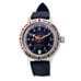 Vostok Watch Amphibian Classic 420380s